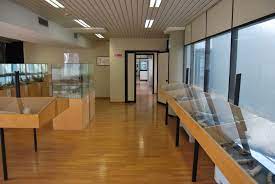 Il Museo della Fauna di Messina compie 10 anni!